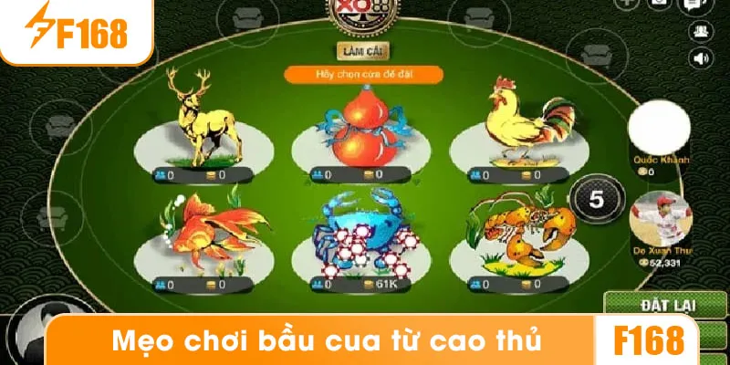 Cần có mẹo chơi bầu cua để tăng khả năng chiến thắng