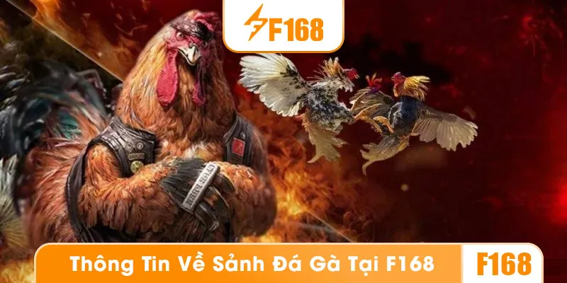 Giới thiệu về sảnh cược đá gà F168